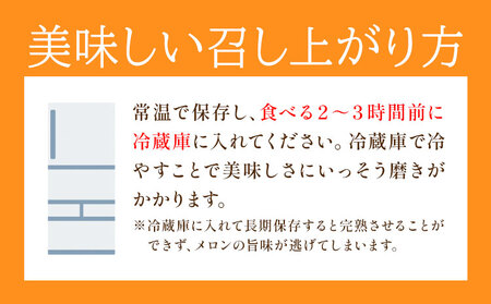 【先行予約】肥後グリーンメロン 2玉 児玉農園 1玉(1.5kg以上)《5月上旬-5月末頃出荷》メロン グリーンメロン 熊本県 玉東町 フルーツ 果物