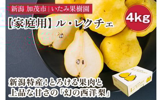 【2025年先行予約】新潟特産 幻の洋梨ル・レクチェ 家庭用 約4kg（8～12玉） 《11月下旬以降、順次発送》 令和5年新潟県ル・レクチェ果実品評会「県知事賞」  果物 フルーツ 冬の味覚 産地直送加茂市 いたみ果樹園