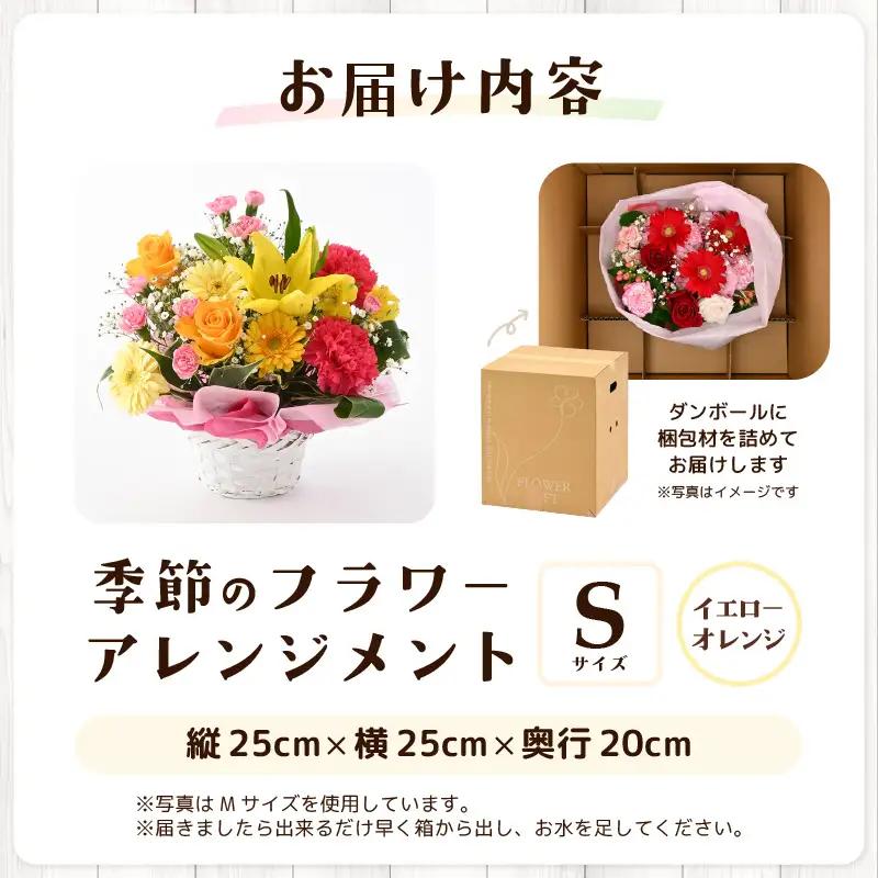 季節のフラワーアレンジメント S (カラフル) 花束 生花 プレゼント [A-20711_03]