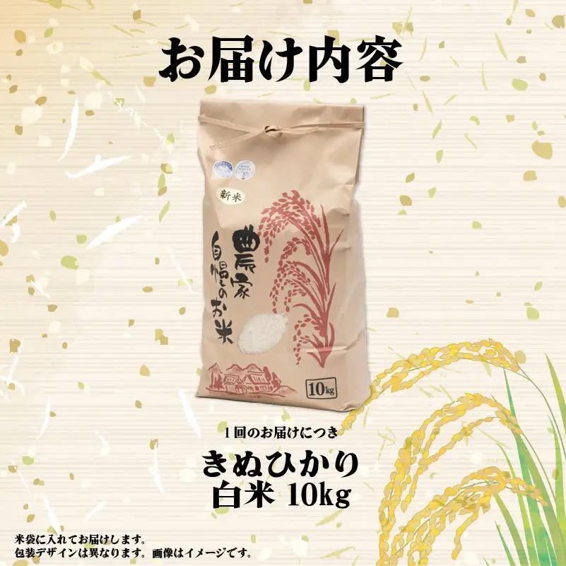 【先行予約】令和8年産 きぬひかり 10kg 定期便 3ヶ月 白米 米 