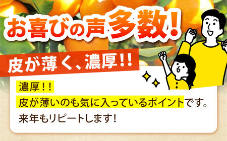 【2024年10月下旬〜発送】温州みかん 10kg / みかん ミカン 蜜柑 フルーツ 果物 / 南島原市 / 蜜柑屋まつお[SCQ002]