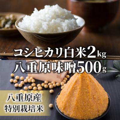 ふるさと納税 東御市 【太陽と大地】八重原産特別栽培米コシヒカリ(白米)2kgと信州味噌「八重原味噌」500gのセット
