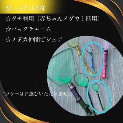 ふるさと納税 小美玉市 タモ網型キーホルダー　10個セット |  | 01