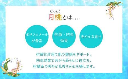 幸－美彩－さちちゅらいろ 月桃バーム（30g）OA-02