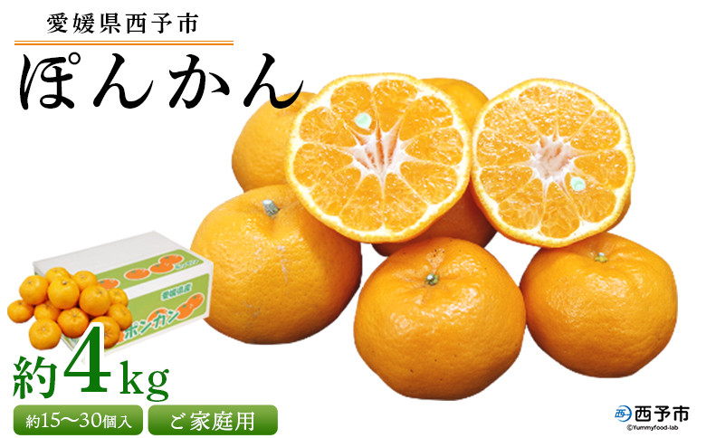 
            ＜愛媛県西予市産 ぽんかん ご家庭用 約4kg＞約15～30個入り 訳あり 果物 くだもの フルーツ みかん ミカン オレンジ ポンカン 柑橘 特産品 愛媛県 西予市【常温】『2026年1月上旬～2月下旬迄に順次出荷予定』
          