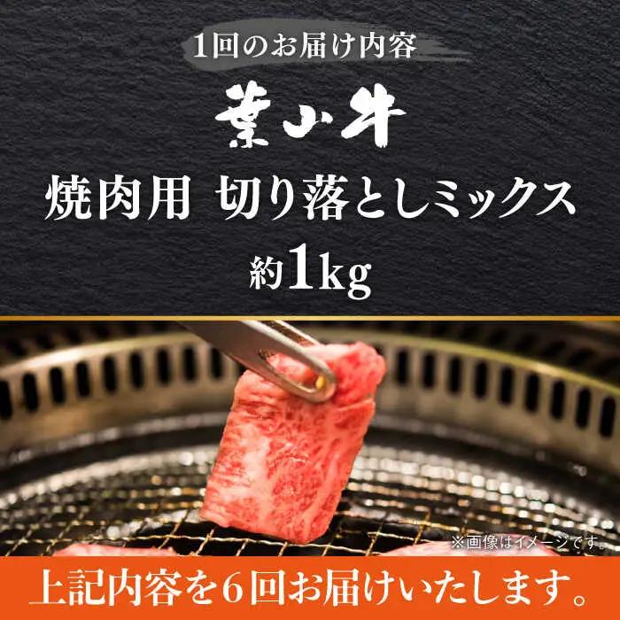 【全6回定期便】葉山牛1kg　焼肉用ミックス 牛肉（ロース、モモ、カルビ等 4種類 ) 食べ比べ[ASBD035]