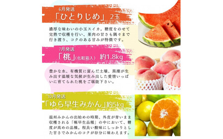 【全6回】旬のフルーツ定期便 【田村みかん 紀州デコ(不知火) 清見オレンジ 小玉スイカ 桃 ゆら早生みかん】 和歌山の旬をお届け / みかん ミカン 温州みかん 有田みかん 不知火 デコポン 桃 も