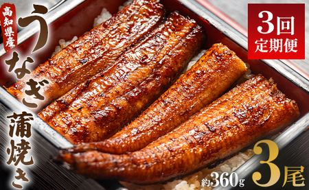 【3回定期便】うなぎ蒲焼き120g 3尾(無頭) 魚介 国産 海鮮 魚 かばやき 鰻 ウナギ 惣菜 おかず お手軽 加工品 加工食品 冷凍  Wun-0028
