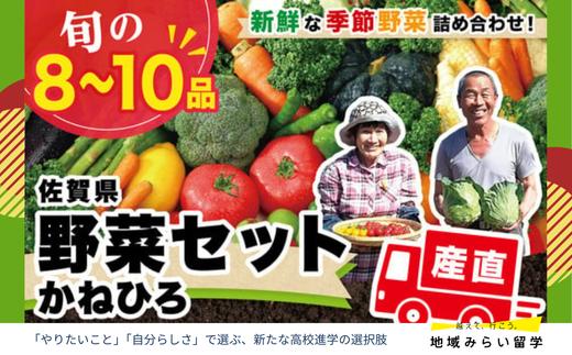
                  【セット】肥前の国のお野菜詰合セット(8～10品目/定番6～8品目・季節2～4品目)
                
