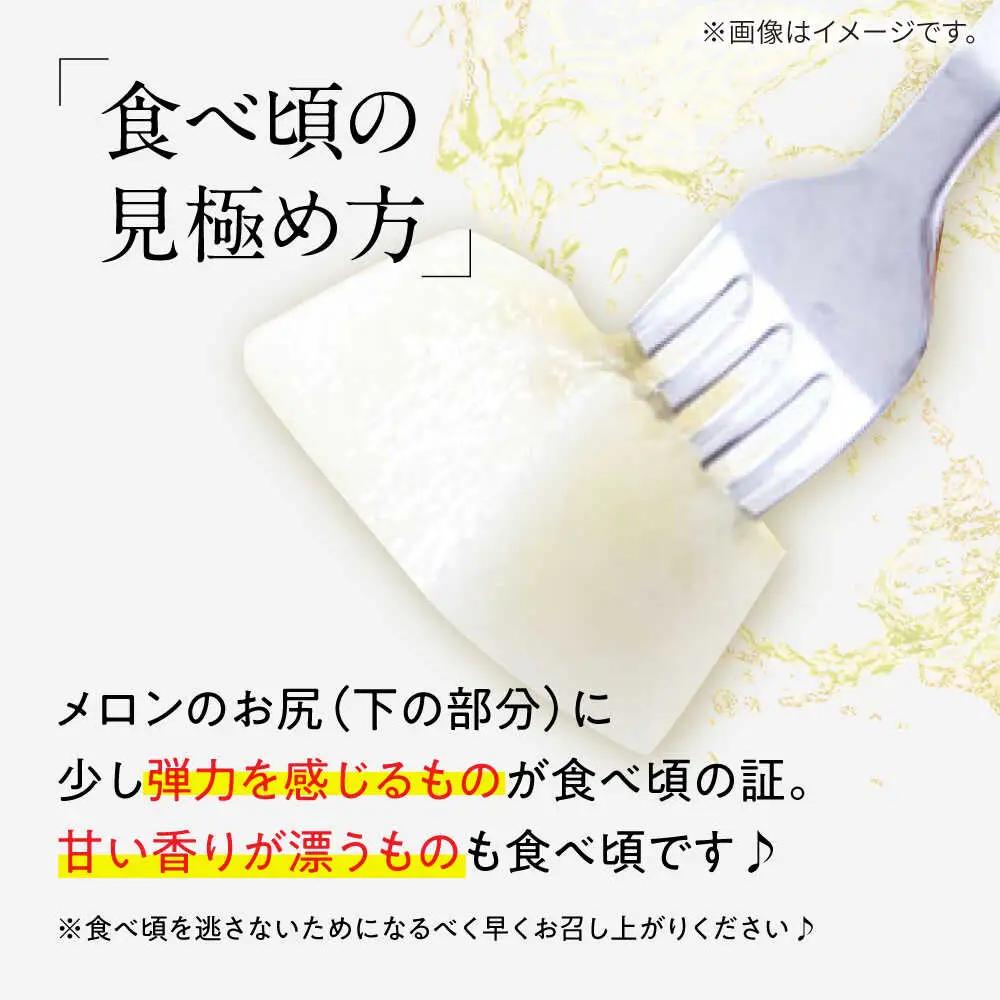 【2027年5月-発送】メロン イエローキング 3箱（1箱 3-6玉） / メロン めろん フルーツ 果物 / 南島原市 / 南島原果物屋[SCV041]