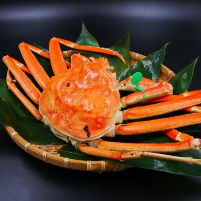 ふるさと納税 宮津市 松葉ガニ　茹で　タグ付き　1.3kg up　2杯