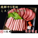 【ふるさと納税】飛騨牛5等級　ミスジ・三角バラ　焼肉用　500g【配送不可地域：離島・北海道・沖縄県】【1043501】