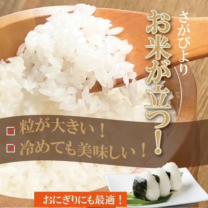 【先行予約】11月配送 R8年産さがびより 佐賀ブランド米 さがびより 5kg 潮風F A085-041-11