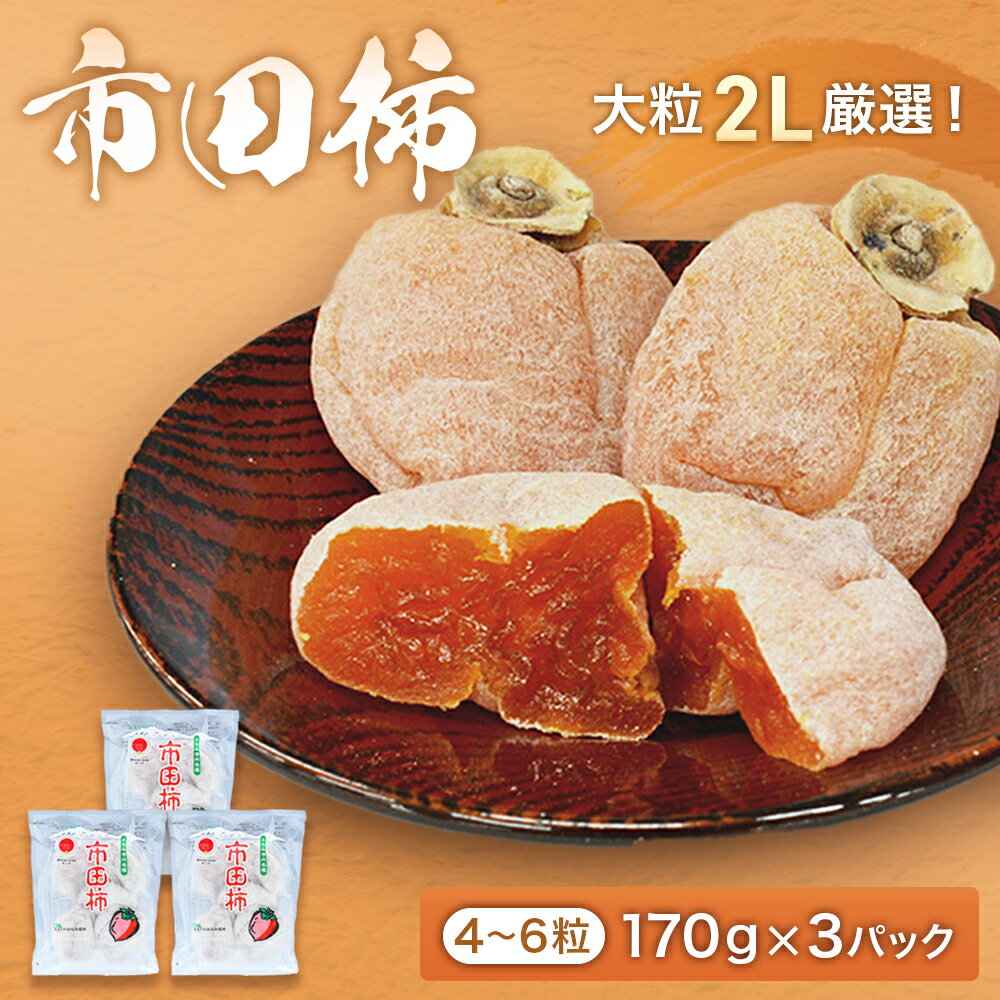 【ふるさと納税】市田柿 (大粒2Lのみ厳選) 約170g×3パック ※2026年1月～発送予定※