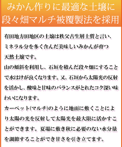 みかん 蜜柑 フルーツ 果物 くだもの / 【ご家庭用訳あり】田村みかん　5kg ※2024年11月下旬頃〜2025年1月下旬頃に順次発送【uot754】