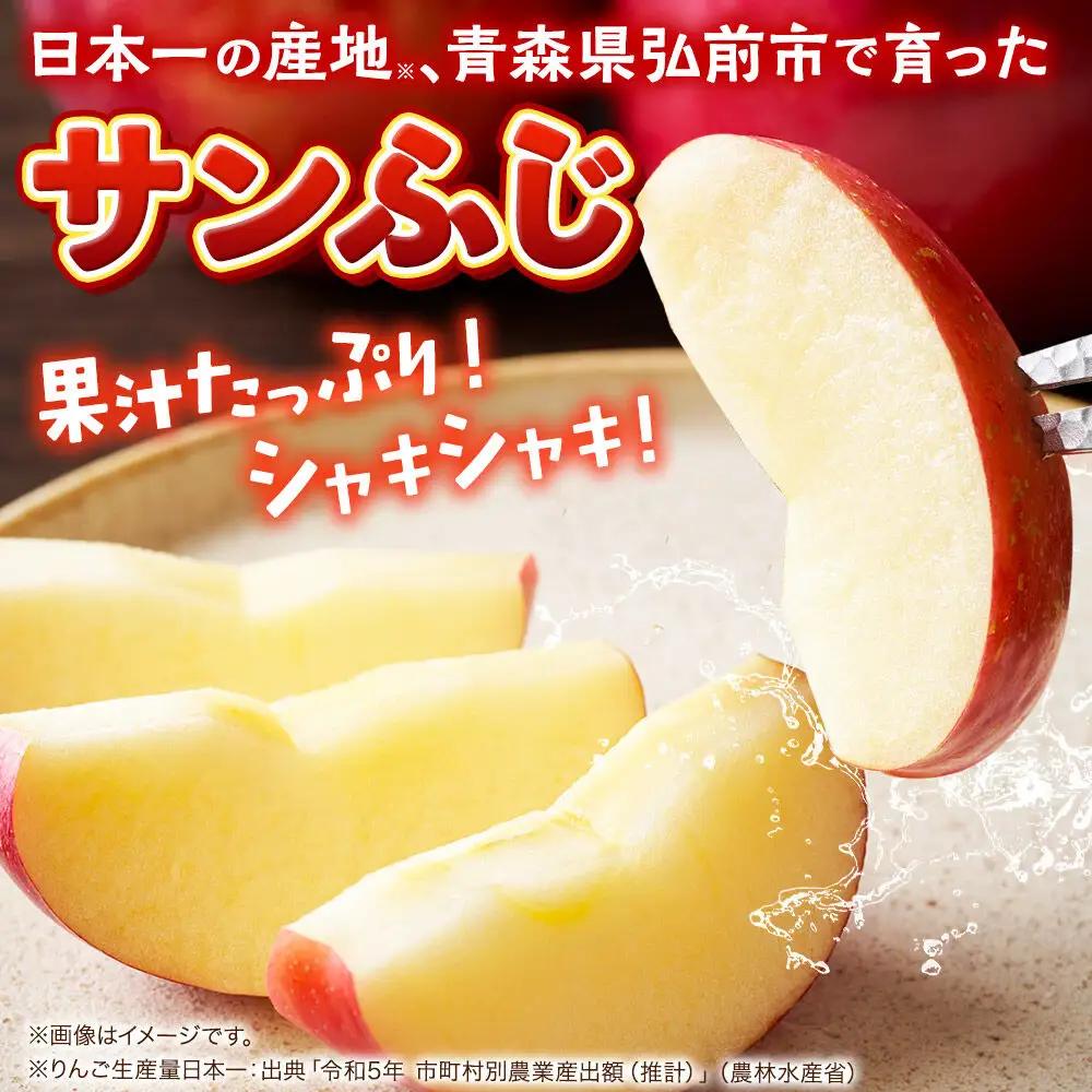 りんご サンふじ 贈答用 約3kg【1月発送】りんご