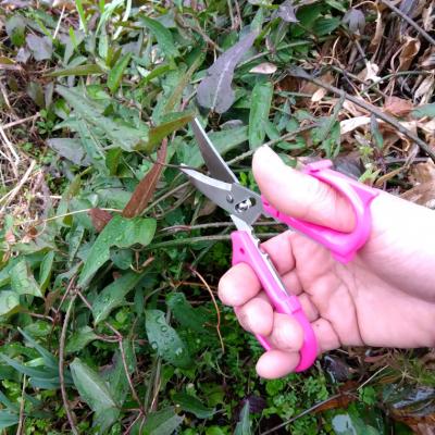 ふるさと納税 関市 花切専用はさみ 花切かれず　ピンク |  | 01