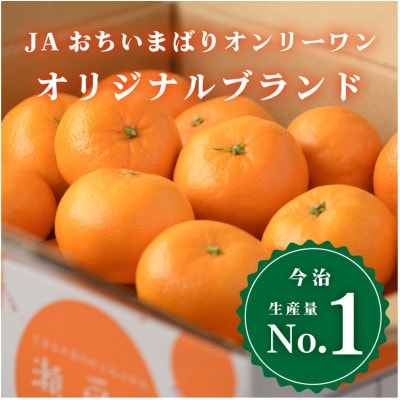 4kg、12月～1月に発送【先行受付】JAおちいまばり 瀬戸の晴れ姫(はれひめ)