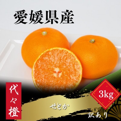 【最高の旨みと香りが詰まった】代々橙せとか【訳あり】3kg【C83−44】【1623951】