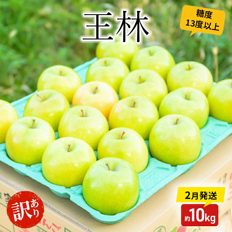 【ふるさと納税】りんご 【2月発送】 糖度13度以上 訳あり品 家庭用 王林 約 10kg 【 青森りんご 果物 フルーツ デザート 食後 青森県産 産地直送 】　お届け：2026年2月20日頃～2026年2月28日