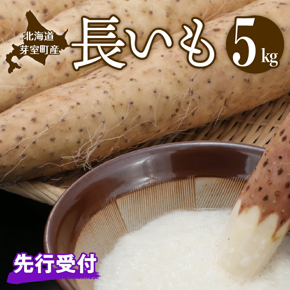 【ふるさと納税】【先行予約】長いも 約 5kg 【2025年11月より配送予定】先行受付 ながいも とろろ 根菜 青果 お取り寄せ 送料無料 北海道 十勝 芽室町