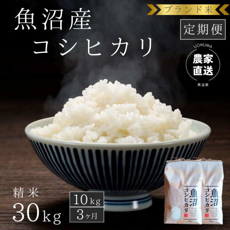 【ふるさと納税】【定期便：精米10kg×3ヶ月】ブランド米 魚沼産コシヒカリ 米 こしひかり 新潟 定期　お届け：寄附入金月の翌月より発送