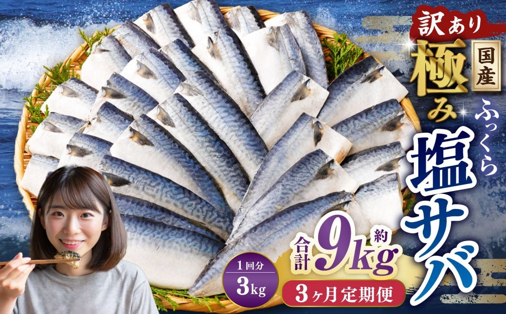 
            【3ヶ月定期便】【訳あり】国産 ふっくら 極み塩サバ 計約3kg ／ 1切れ 塩サバ 塩さば 塩鯖 さば サバ 鯖 魚
          