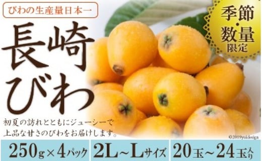 
【期間限定発送】【数量限定】 長崎びわ 約 1kg [長崎県農産品流通 長崎県 雲仙市 item1562] ビワ 枇杷 果物 くだもの フルーツ 季節限定 期間限定
