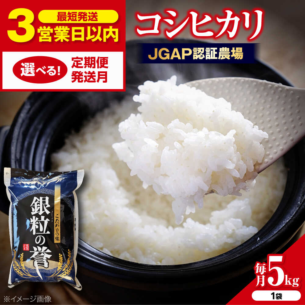 【ふるさと納税】こしひかり 5kg【スピード発送】【選べるお届け回数/発送月】 選べる すぐ届く コシヒカリ こしひかり 米 5kg 5キロ お米 こめ おこめ コメ 白米 令和7年産 令和7年度米 ごはん ご飯 精米 お歳暮 お中元 定期便 送料無料 三次市 / アグリ君田 [APDC001]