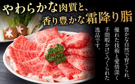 【3回定期便】飛騨牛 すきやき しゃぶしゃぶ 500g ロース（肩ロース） 5等級 A5 贅沢三昧定期便 国産 和牛 岐阜県 岐阜市/だるまミート [ANBE004]