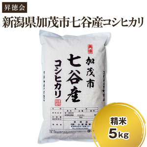 【令和6年産新米先行予約】新潟県加茂市 七谷産コシヒカリ 精米5kg 白米 高柳地域産数量限定 昇徳会 コシヒカリ 新潟県産コシヒカリ 米 お米 コシヒカリ コシヒカリ コシヒカリ コシヒカリ コシヒカリコシヒカリ コシヒカリ コシヒカリ コシヒカリ コシヒカリ