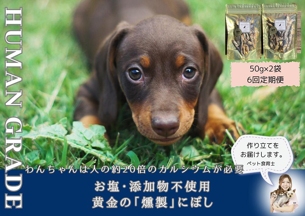 【ふるさと納税】犬と猫の無添加おやつ☆お塩不使用☆黄金の燻製にぼし【6回定期便】（FB064）