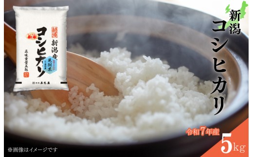 新潟コシヒカリ 令和7年産 精米5kg