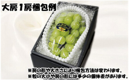 【令和７年発送分】岡山県産 シャインマスカット晴王【秀品】 大房１房（令和7年9月から11月発送）【 岡山県産 シャインマスカット 秀品 晴王 大房 晴れの国おかやま 】