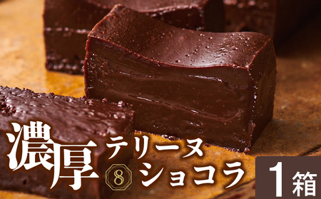 2522 オクタス テリーヌショコラ 1箱 KN021-026-01 テリーヌ ショコラ チョコケーキ ベルギー チョコレート スイーツ デザート 生チョコ ガトーショコラ フォンダンショコラ 財宝 ふるさと納税 鹿児島 鹿屋市 おすすめ ランキング プレゼント ギフト