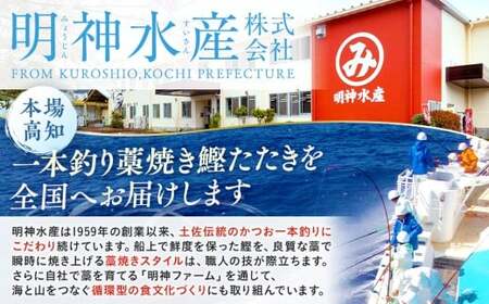 【 2カ月定期便 】かつおのたたき 定期便 2回 各 1kg 明神水産 わら焼き 南方鰹 かつおたたき 鰹 カツオ 藁焼き 鰹のたたき 鰹たたき ふるさと納税かつお 故郷納税 魚 さかな 海鮮 刺し身