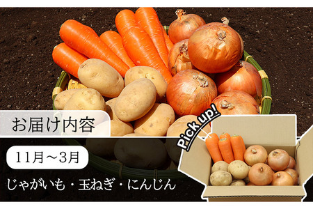 定期便 6回 常備野菜 セット 約5kg 詰め合わせ [吉岡青果 長崎県 雲仙市 item1299]