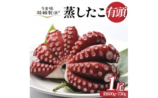 
                  蒸したこ 丸々1匹 あ印のうま味凝縮製法 | マダコ 真だこ 真蛸 蛸 タコ たこ 蒸したこ ボイル 真だこ 真タコ お取り寄せ 海鮮 海産物 海の幸 茨城 特産品 美味しい 高タンパク お取り寄せグルメ 食べ物 お祝い 酒 お土産 手土産 贈答用 
                