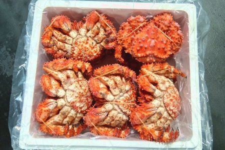 ＜12月22日決済分まで年内配送＞【北海道根室産】花咲ガニ10尾(計3.5kg前後) C-57052