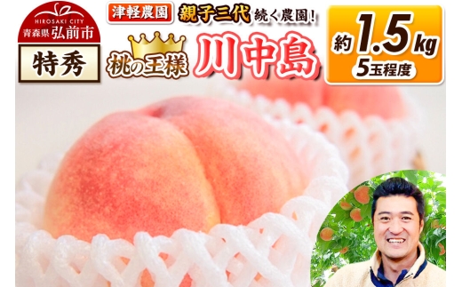 【26年8月発送】桃 約1.5kg(5玉程度) 青森【2026年産 桃の王様 川中島】もも 特秀 果物 フルーツ くだもの 津軽農園 採れたて 農家直送 [おいしい ピーチ フルーツ もも 果実 果物 青森 津軽 桃 美味]