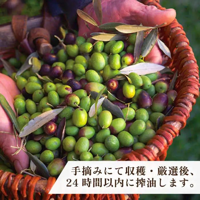 ikicael ハンドクリーム 50g 《壱岐市》【壱岐オリーブ園】[JDU020] 保湿クリーム オリーブオイル