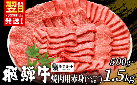 
                   贅沢！ 飛騨牛 モモまたはカタ 焼肉用 500g～1.5kg 2～10人前 牛肉 和牛 肉 焼肉 BBQ 霜降り カルビ 赤身 モモ カタ 東白川村 岐阜 養老ミート
                