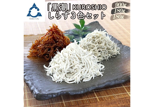 しらす3色セット「黒潮」KUROSHIO