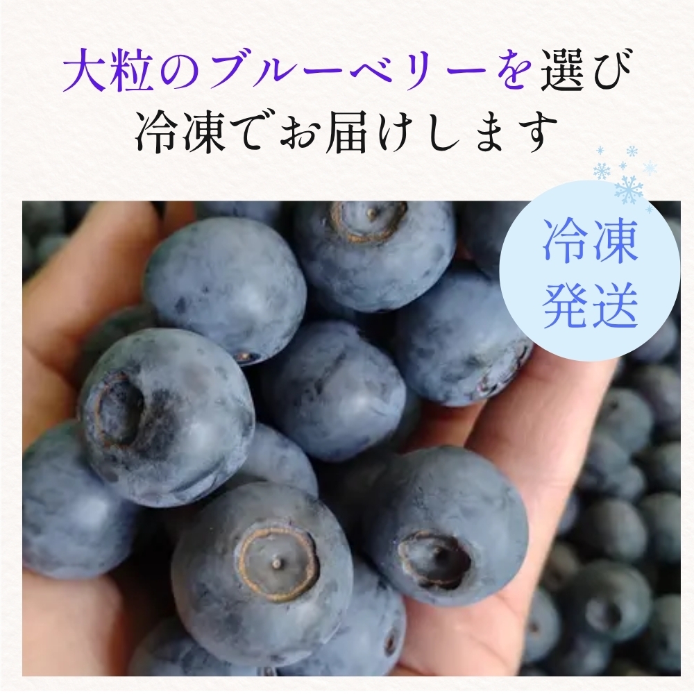 有機JAS〈無農薬〉ブルーベリー500g 冷凍 オーガニック フルーツ 果物 国産 兵庫県丹波篠山市 ベリー類 デザート