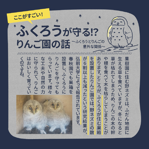 【2025年9月上旬発送】りんご　サンつがる 約5kg 高級品 春秋園 青森【贈答用 リンゴ 林檎 サンツガル 早生りんご】