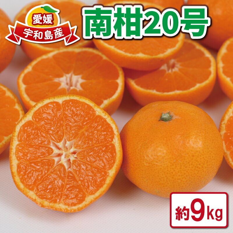 【ふるさと納税】 愛媛みかん 先行予約 9kg 南柑20号 つばさ農園 温州みかん 甘い 美味しい 温州 蜜柑 mikan 果物 くだもの フルーツ 愛媛ミカン 愛媛蜜柑 愛媛県産 柑橘 農家直送 産地直送 数量限定 国産 愛媛 宇和島 B010-048011