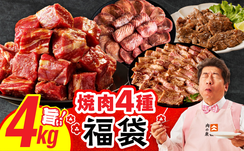 焼肉 福袋 4種 4kg【氷温熟成×特製ダレ 500g 小分け 牛肉 牛タン ヒレ ハラミ バラ 数量限定 大阪 泉佐野 大阪府 泉佐野市】