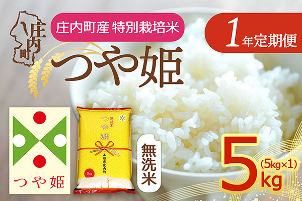 【定期便】＜令和8年産/9年産＞つや姫 無洗米 5kg×1年間 毎月お届け 特別栽培米 山形県庄内町産 庄内米 ブランド米 米 コシヒカリの原点、亀の尾発祥の地 お米の定期便 ごはん 粘り 甘み 香り