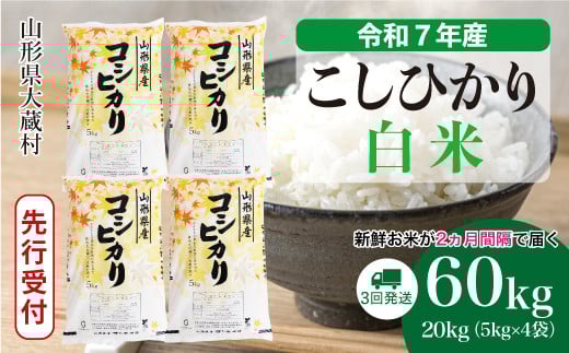 
            ＜令和7年産米先行受付＞ 大蔵村産 こしひかり 【白米】 定期便 60kg （20kg×２ヶ月間隔で3回お届け）＜配送時期選べます＞
          