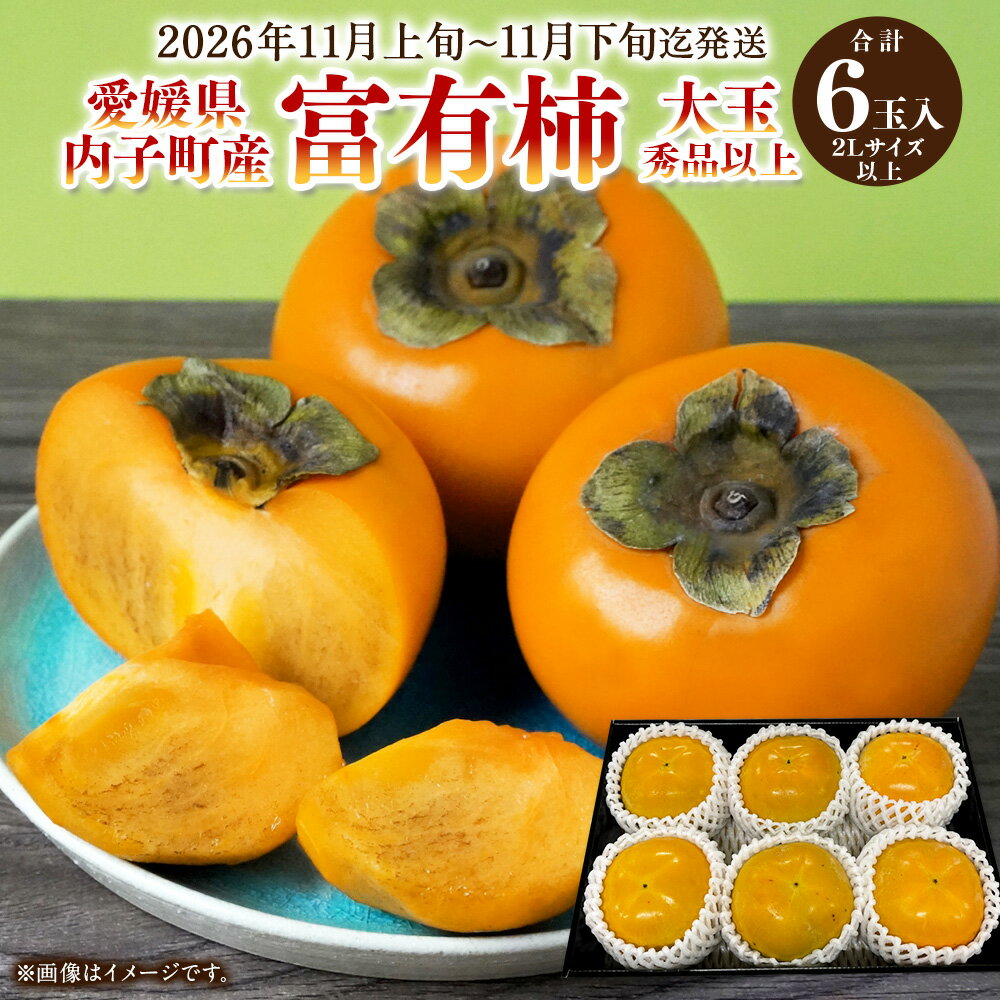 【ふるさと納税】内子町産 富有柿 大玉 秀品以上 6玉入り 2Lサイズ以上 柿 カキ フルーツ 果物 果実 愛媛県産 国産 四国 愛媛県 送料無料 (449)【2026年11月上旬～11月下旬迄発送】【えひめの町（超）推し！（内子町）】